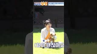🐶: I have to protect my bro #boss_pet | KBS WORLD TV