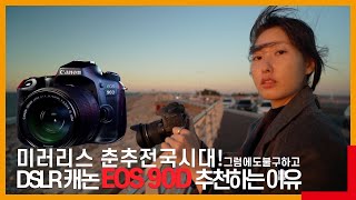 미러리스 춘추전국시대 그럼에도 불구하고  DSLR 캐논 EOS 90D 추천 이유