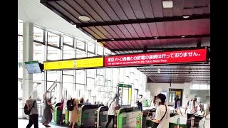 【4K散歩動画】原宿駅　ぐるり一周散歩　PIMI PALM  で撮影4K30P