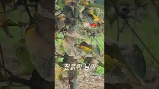 [사과재배] 아직 상흔 남아