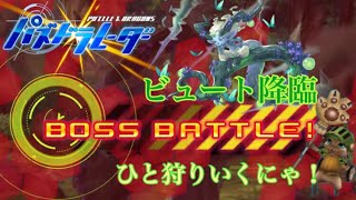 【パズドラレーダー】オトモアイルーでビュート降臨に初見！＆ビュート入り編成でフリーバトル！