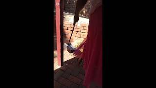 Sweeping with a hand broom without a stick #ASMR#Satisfying#Peace