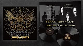 PRANA - Sense of Unity ( Limited Vinyl Edition) Teaser mix by Tsuyoshi Suzuki