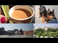 A Morning In My Life | Breakfast Vlog | #vlog 1 | Munmun's Creativity