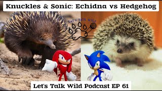 Knuckles & Sonic: Echidna vs Hedgehog - Let's Talk Wild Podcast EP 61 Video Game TV Series & Movies