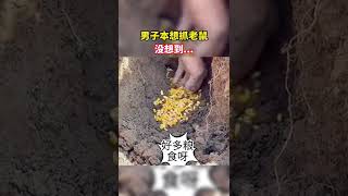 男子本想抓老鼠，没想到