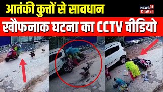 Odisha से सामने आई खौफनाक घटना, Dogs कर रहे थे पीछा और फिर... | घटना का CCTV video हुआ viral