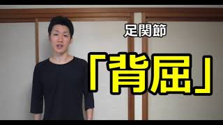 足関節背屈制限に関与する４つの筋肉の評価！簡単に確認する方法！