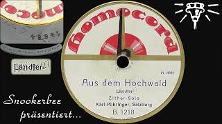 Aus dem Hochwald - Homocord - 1912/1927