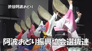 本場徳島の阿波踊り「阿波おどり振興協会選抜連」渋谷阿波おどり2024（2024.11.2）