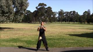 武幻　～buugeng～ in australia training performer ryoma shiba