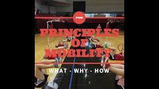 Principles of Mobility Webinar with Dr. Beau Beard