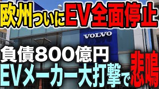 【欧州EVブームが崩壊寸前】メーカーがシフト撤回、ハイブリッド爆売れの未来【ゆっくり解説】