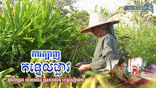 តម្បាញកន្ទេលផ្អាវ អ្នកភូមិកំប្រុក