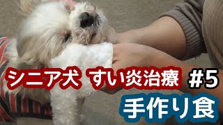 【シニア犬　膵炎治療＃５】犬の膵炎食事療法、手作りごはん。良かったら概要欄も読んでください＾＾