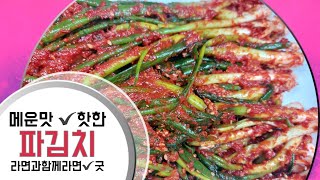 🔺️절일필요 없는 특급 파김치레시피 정말 맛있어요👍💕🍀