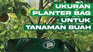 Ukuran Planter Bag Yang Cocok Untuk Tanaman Buah!