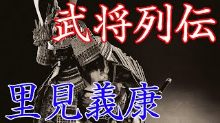 里見義康　秀吉の怒りに触れた館山藩初代藩主