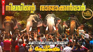 നിലവിന്റെ രാജാക്കന്മാർ കക്കാടിന്റെ മണ്ണിൽ  | ഗജരാജാക്കന്മാരുടെ പോരാട്ടം|  കക്കാട് പൂരം 2024 #aana