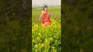 কখনো এমন হয়নি🌿🌿 #youtubeshorts #foryou #viralvideo #song #musicsong #shortvideo#hindisong