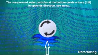 RotorSwing Magnus Effect Demonstration