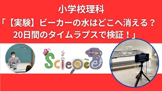 「【実験】ビーカーの水はどこへ消える？20日間のタイムラプスで検証！」#蒸発 #水のゆくえ