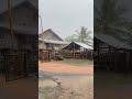 ລະດູຝົນໃກ້ມາຮອດແລ້ວ youtube laos ยูทูปช็อต คนบ้านนอก ธรรมชาติ youtubeshorts สปปลาว เที่ยวลาว