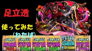 【パズドラ】ペルソナコラボ足立透使ってみた！足立透×ルシア(ネタパ)