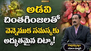 అడవి చింతగింజలతో వెన్నెముక సమస్యకు అద్భుతమైన చిట్కా! | Dr. Subramanyam | Ayushmanbhava | PMC Health