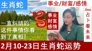 生肖蛇🐍一直纠结的这件事情你看到了真相🌞阳历25年2月中10-23日