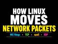 How Linux Moves Network Packets: NIC Rings, TCP, epoll, XDP & More