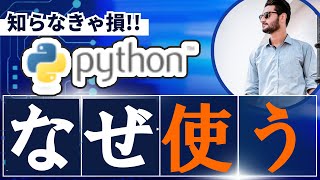 【疑問】なぜPythonはこんなによく使われるのか？【ボイロ解説】