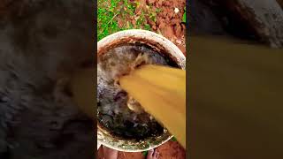 ఆవు పేడ ఫర్టిలైజర్  ఇలా ఇవ్వండి/ how to use cow dung for plants #organicfarming #viral #organic