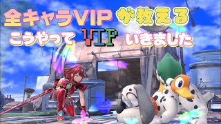 【VIP講座】全キャラVIP行った人が当時の立ち回りを初心者向けに解説！ダックハント／ホムラヒカリ編