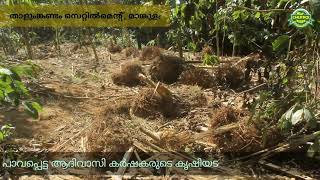 ആനകൾ കാരണം ജീവിതം തകരുന്ന ഒരു ജനത. Idukki | Mankulam | elephant attack