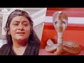 नाग पंचमी: आईच्या दुधाचे उपकार फेडण्यासाठी नाग परतला | Jackie Shroff | Upkar Dudhache Marathi movie