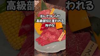 【山梨飯】高級焼肉店と一般焼肉店の違い！それは #飯テロ #出来てそうで出来てない食レポ #shorts