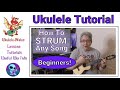 How To Strum Any Song - Beginner Ukulele