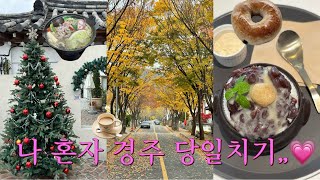 단풍맛집을 곁들인 나 혼자 경주 💘 경주 당일치기 gyeongju vlog