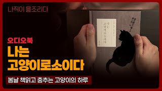 나는 고양이로소이다 - 나쓰메 소세키｜오디오북｜책읽어주는남자｜책 추천｜수면유도책｜명작 소설