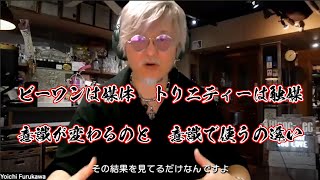 ビーワンとトリニティーの働きの違い〜生かすものと活かされるもの〜