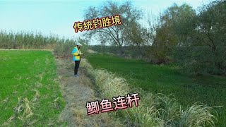 偶遇传统钓“胜境”，河边好多钓鱼人，果断安排几个窝子盘起来