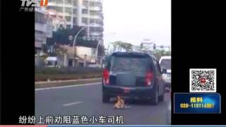 汕頭街頭驚現虐狗 一輛汽車拖著小狗行駛