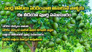 పండ్ల తోటలు వెయ్యాలి అనుకున్న వారికి పూర్తి సమాచారం | RaituNesthamFamily