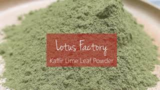 Organic Kaffir Lime Leaf Powder from Lotus Factory