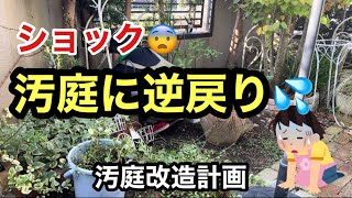 【汚庭】いつの間にか汚庭になってしまいました💦