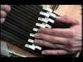 Autoharp Instruction by John Sebastian