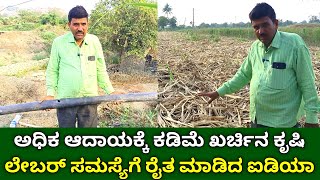 ಲೇಬರ್ ಸಮಸ್ಯೆಗೆ ರೈತ ಮಾಡಿದ ಕಡಿಮೆ ಖರ್ಚಿನ ಕೃಷಿ | Agriculture Farming Kannada | Onion Cultivation Kannada