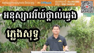 អនុស្សាវរីយ៍ថ្ពាល់ឆ្វេង ភ្លេងសុទ្ធ