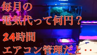 水槽の水温を24時間エアコンのみで管理すると毎月いくらの電気代がかかる？  #56